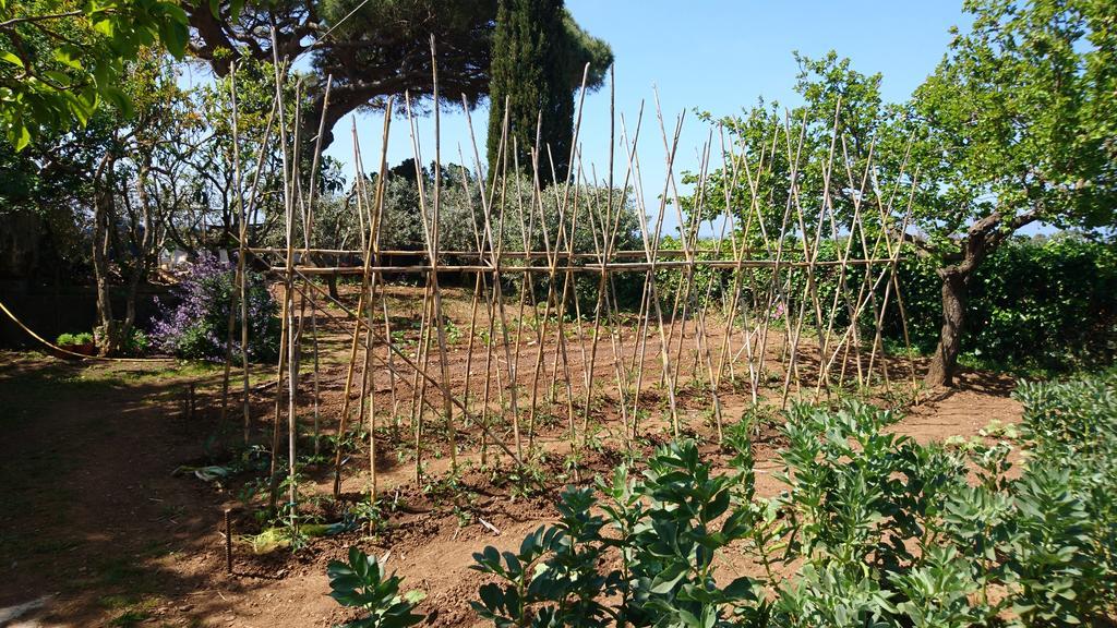 Podere Isabella San Vincenzo Exterior foto